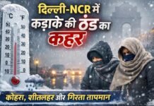 दिल्ली-NCR में कड़ाके की ठंड का कहर: शीतलहर, कोहरा और गिरता तापमान, जानिए आज का पूरा मौसम हाल!