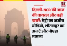दिल्ली-NCR की आज की वायरल और बड़ी खबरें: मेट्रो का अजीब वीडियो, शीतलहर का अलर्ट और नोएडा मामला!