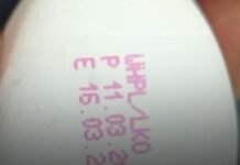 अब अंडों पर लिखनी होगी एक्सपायरी डेट: यूपी सरकार का बड़ा फैसला, उपभोक्ताओं की सेहत को मिलेगी सुरक्षा!