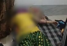 नोएडा में बंद कमरे में मिला प्रेमी-प्रेमिका का शव: लिव-इन में रह रहे थे, हत्या के बाद आत्महत्या की आशंका