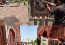 आगरा में झुलसाती गर्मी के बीच ताजमहल पहुंचे पर्यटक, राहत के लिए किए जा रहे खास इंतजाम!