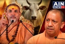 गोरक्षा पर शंकराचार्य अविमुक्तेश्वरानंद का सियासी संकेत, चुनाव में निर्दलीय उम्मीदवार उतारने का ऐलान!