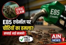 E85 एथेनॉल पर चींटियों का हमला? वायरल दावे की सच्चाई आई सामने, जानिए पूरा फैक्ट चेक!