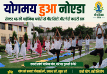 योगमय हुआ नोएडा: सेक्टर 46 गार्डेनिया ग्लोरी से लेकर गौर सिटी और चेरी काउंटी तक, योग साधकों ने बनाया रिकॉर्ड; बांटे गए तुलसी के पौधे