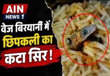 बुलंदशहर में वेज बिरयानी में मिला छिपकली का कटा सिर, वीडियो वायरल होने के बाद मचा हड़कंप!