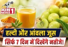 हल्दी और आंवले का जूस सुबह खाली पेट पीने से 7 दिन में दिखेंगे नतीजे? जानिए वायरल दावे की पूरी सच्चाई