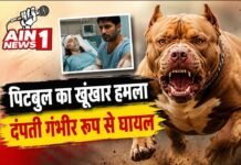 पटियाला में पिटबुल का खौफनाक हमला, पत्नी ICU में भर्ती, पति बोला- ‘पूरी बॉडी में टांके हैं’