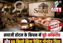 सयाजी होटल के किचन में चूहे-कॉकरोच और 66 किलो बिना पैकिंग नॉनवेज मिला, खाद्य विभाग की कार्रवाई के बाद हाईकोर्ट से राहत