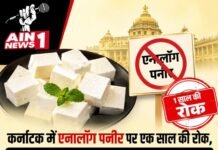 कर्नाटक में एनालॉग पनीर पर एक साल की रोक, ‘पनीर’ के नाम पर बिक्री पर सरकार सख्त; जानिए क्या है पूरा मामला