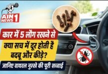 कार में 5 लौंग रखने से क्या सच में दूर होती है बदबू और कीड़े? जानिए वायरल नुस्खे की पूरी सच्चाई