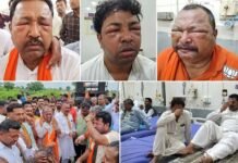 BJP की तिरंगा यात्रा पर मधुमक्खियों का हमला, 40 घायल, एक को 200 से ज्यादा डंक मारे; खेत में छिपकर बचाई जान