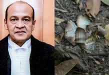 जस्टिस यशवंत वर्मा के खिलाफ आरोप सिद्ध, जांच समिति ने लोकसभा में पेश की रिपोर्ट