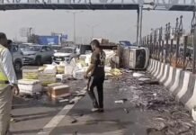 गाजियाबाद में टायर फटने से मछलियों से भरी DCM पलटी, सड़क पर बिखरी मछलियां; देखने वालों की लगी भीड़