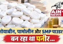 राजस्थान में 1800 किलो मिलावटी पनीर पकड़ा, सोयाबीन-पामोलीन और पाउडर से हो रही थी तैयारी; दिल्ली-NCR तक सप्लाई का खुलासा